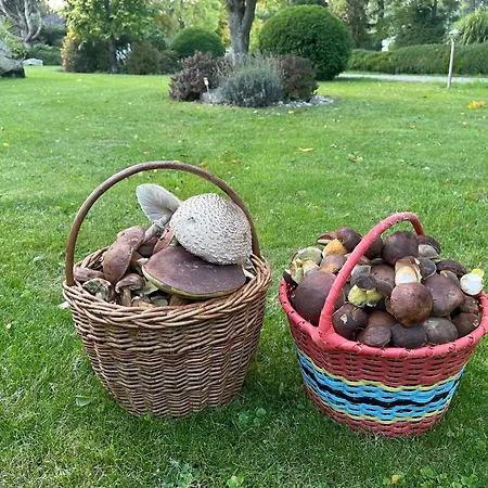 Mlyn Brezinka Hébergement de vacances Dolni Brezinka