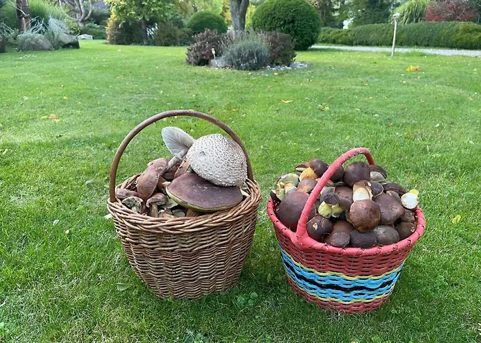 Mlyn Brezinka Hébergement de vacances Dolni Brezinka